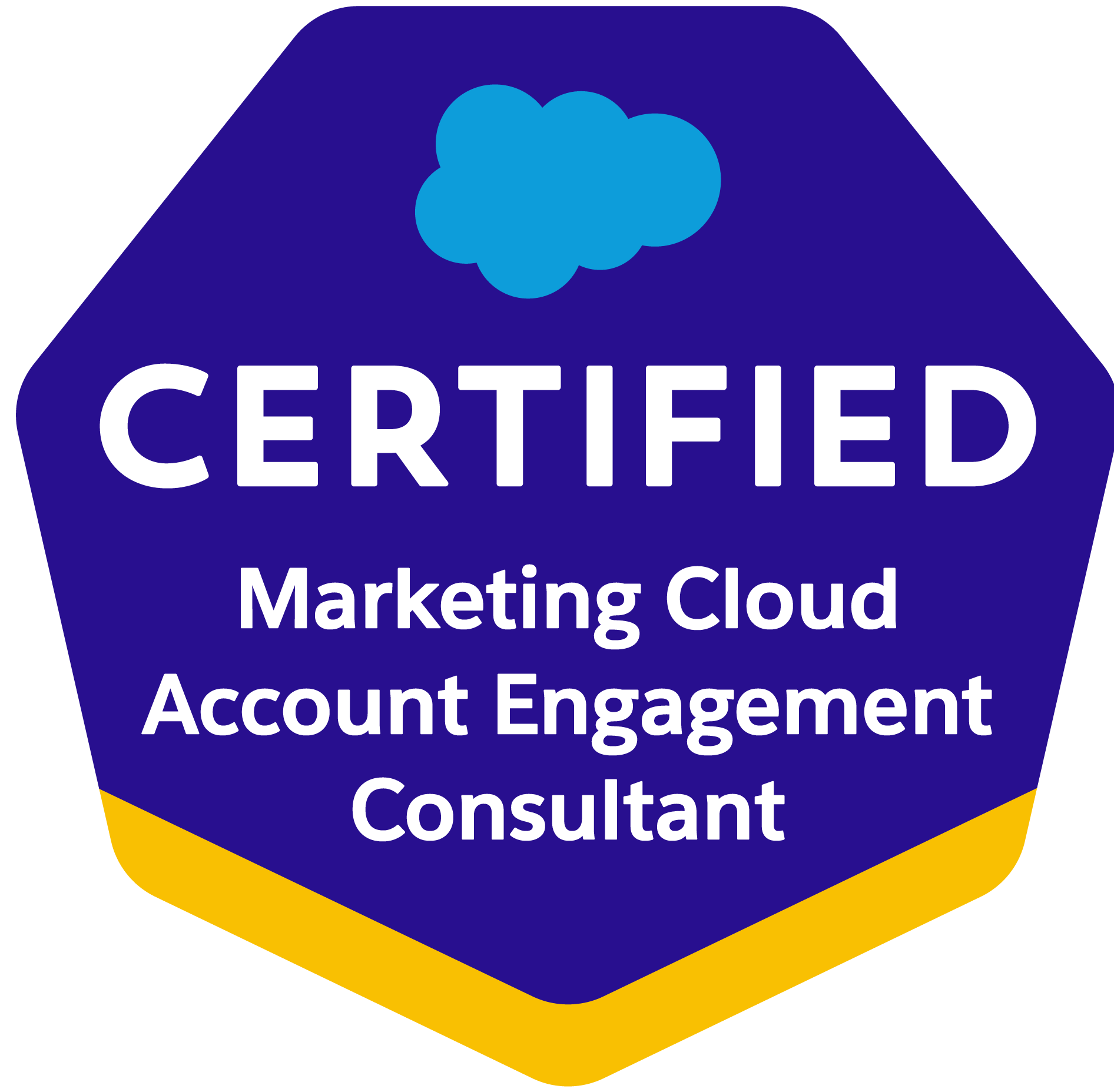 Certified Marketing Cloud Account Engagement Consultant Certified Marketing Cloud Account Engagement Consultant